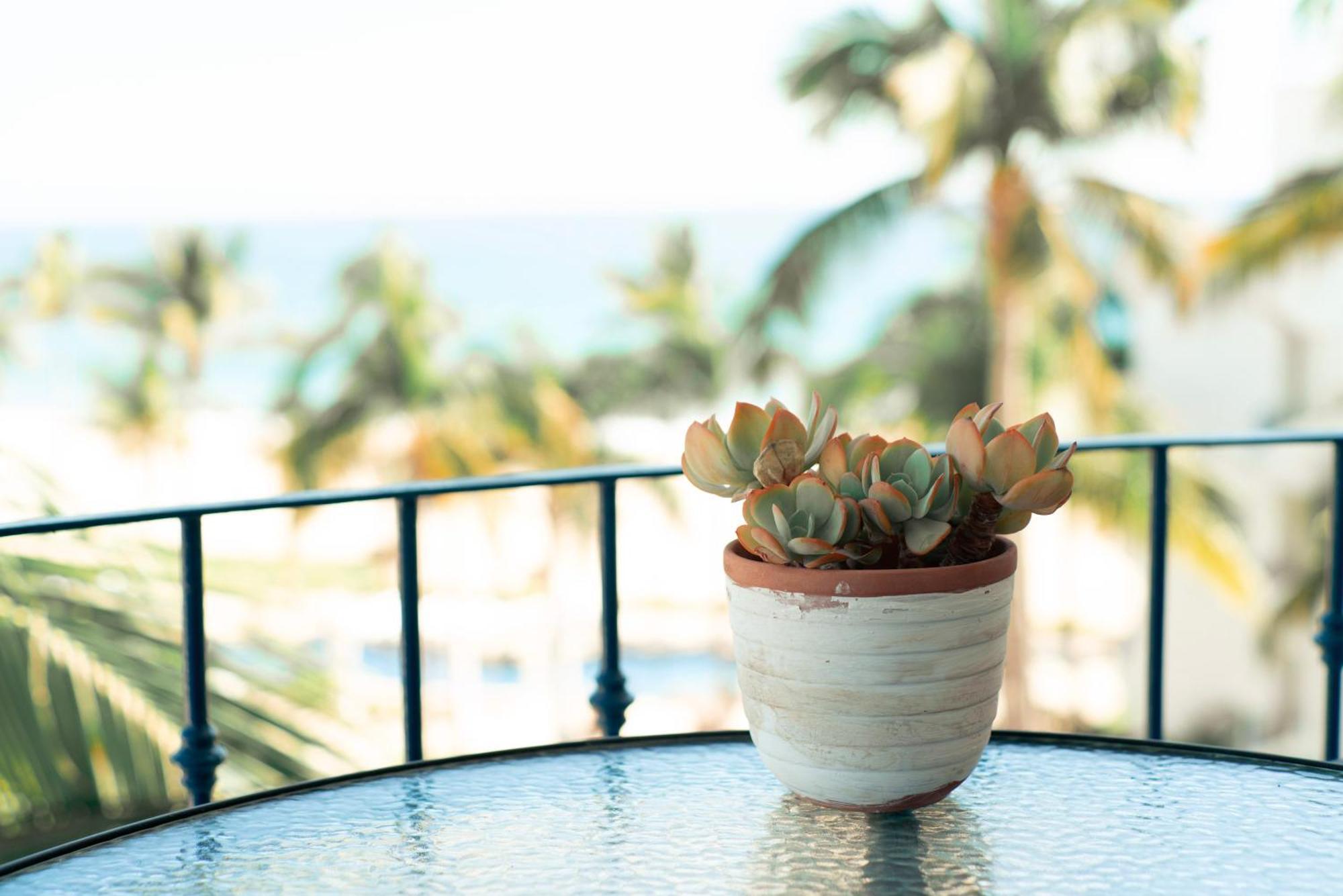Beach Front Mykonos San José del Cabo المظهر الخارجي الصورة